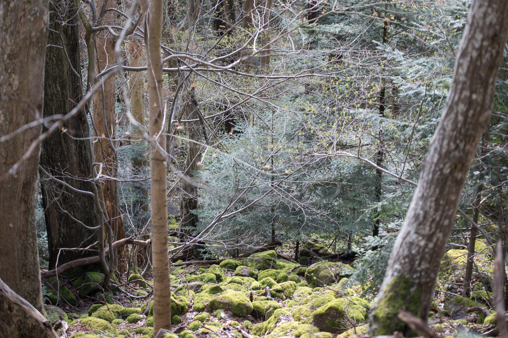 20220409151741 RD4 6481